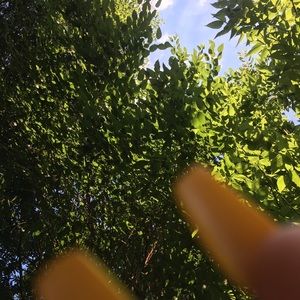 Meet your Posher, Tablitha